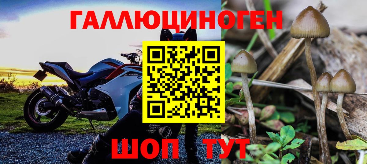 Псилоцибиновые грибы Ангарск