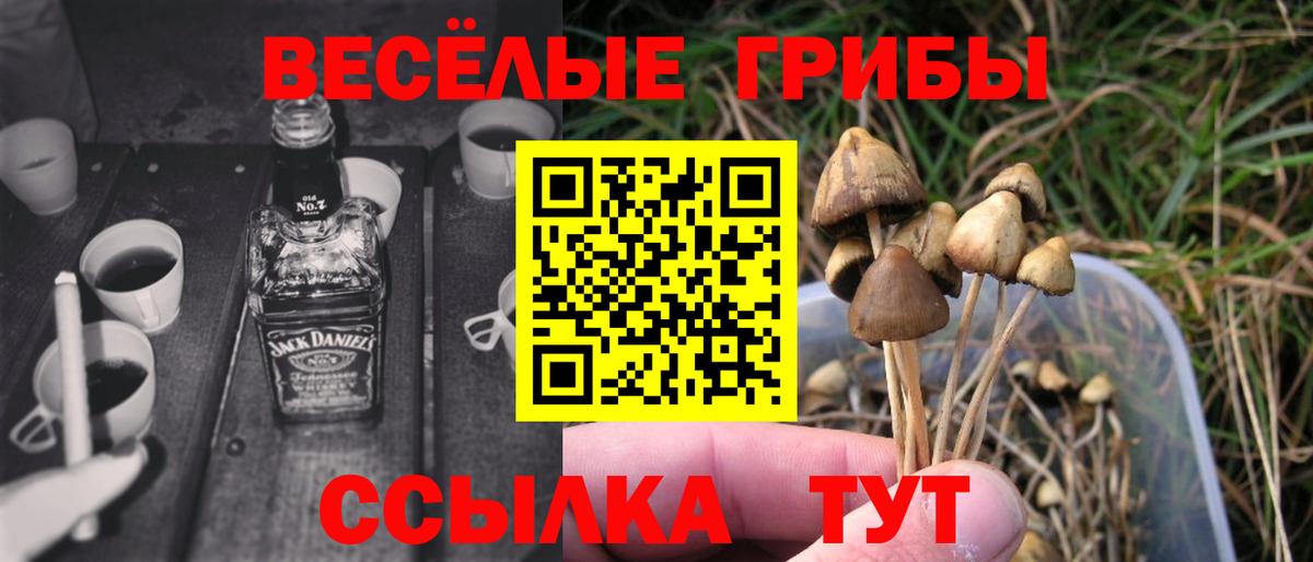 Ангарск  Псилоцибиновые грибы прущие грибы  Вход с VPN 